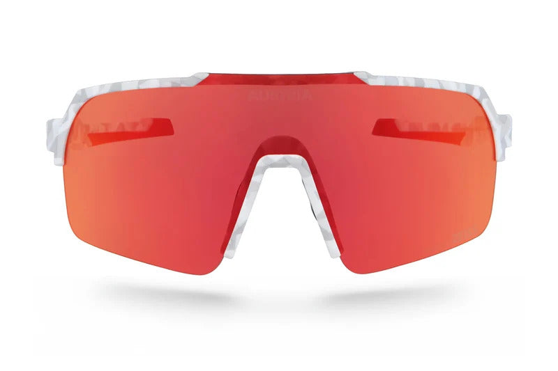 zanier-easyrider-sportbrille-team-olympic-mit-multilayer-coating image 4