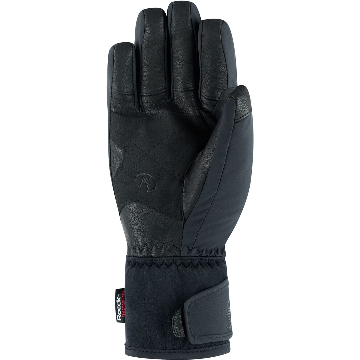 roeckl-eco-series-selkirk-skihandschuhe-herren-schwarz-8-5 image 2